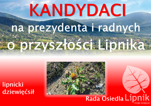 Kandydaci odpowiadają